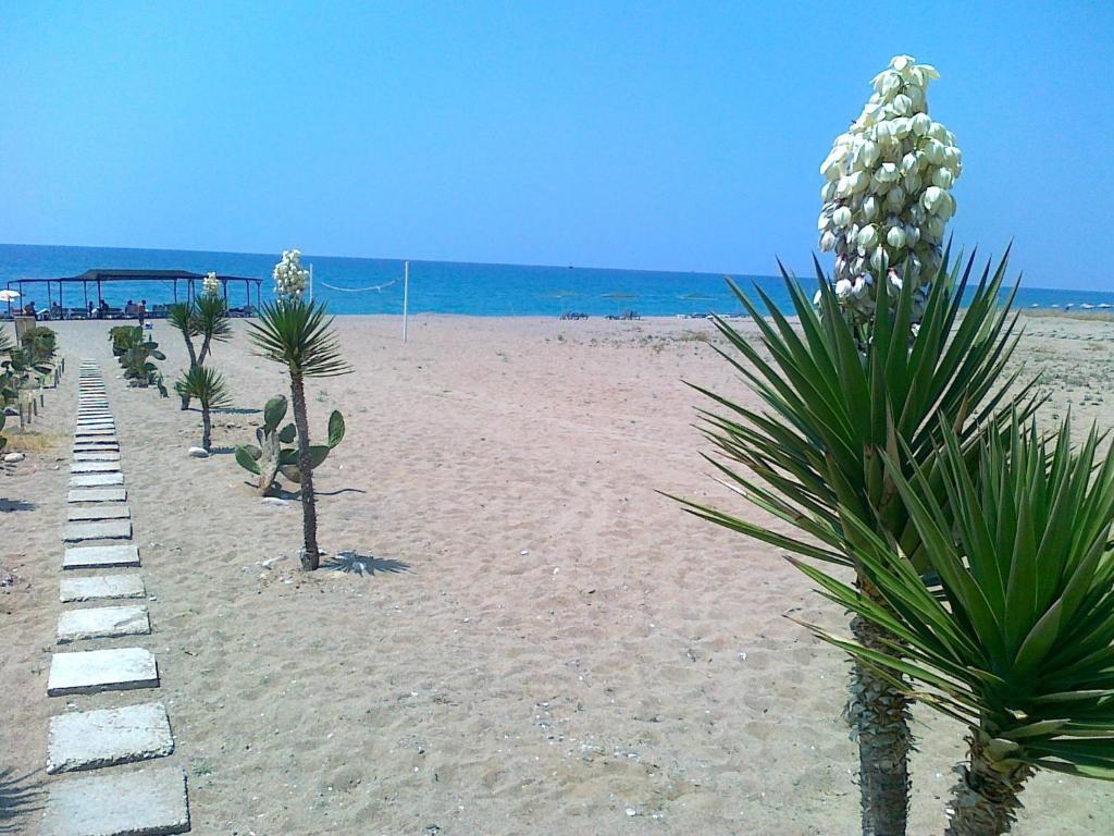 Kızılot As Queen Beach Hotel المظهر الخارجي الصورة